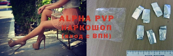 spice Беломорск