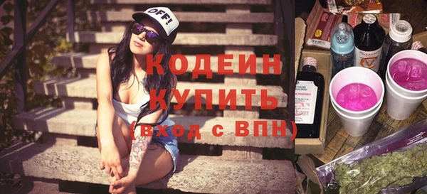 spice Богданович
