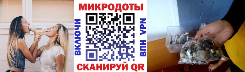 Псилоцибиновые грибы GOLDEN TEACHER  ОМГ ОМГ сайт  Демидов 